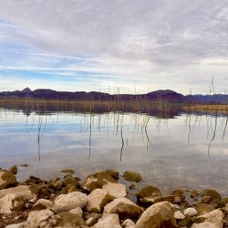 Alamo Lake Arizona -1