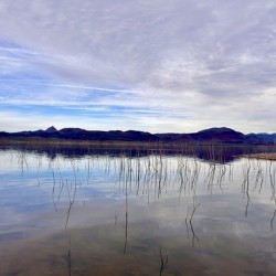 Alamo Lake Arizona -2