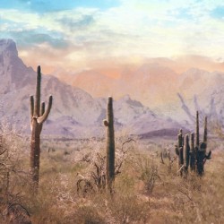 Pastel Desert
