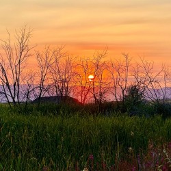 Sunset on Silica Road -2