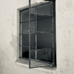 Whispers in the Dust