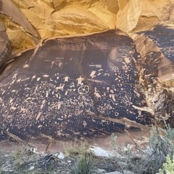 Newspaper Rock