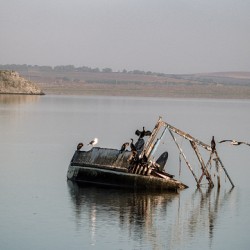 Silent Wreckage on Still Waters
