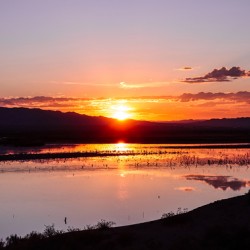 Havasu National Wildlife Refuge 7-18-25