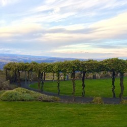 The piazza at Cave B Winery