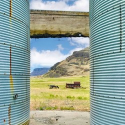 The Silos at Westbar