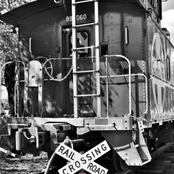 Grand Canyon Railway - Williams Arizona
