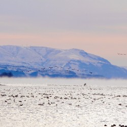 Beauty in the bitter cold - Columbia River 2