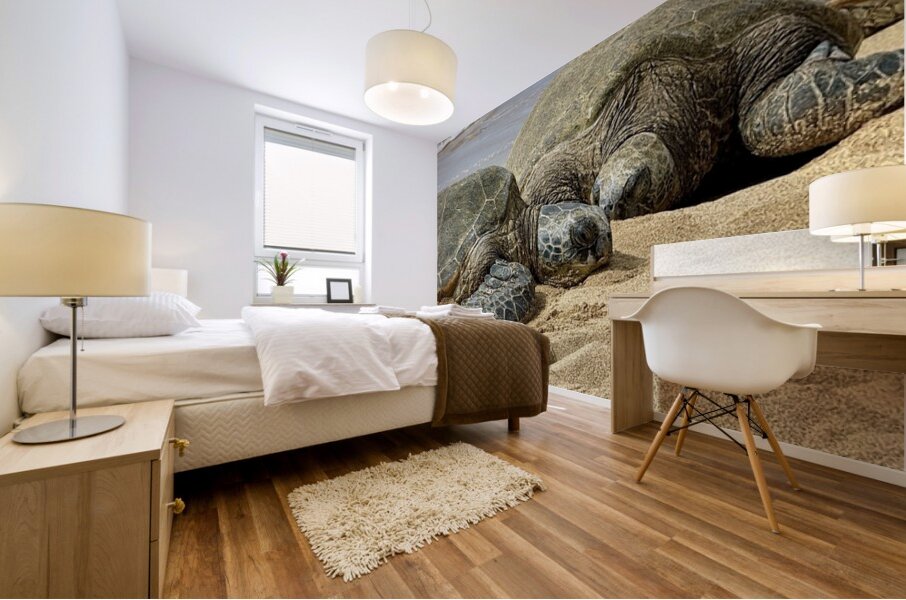 Turtle Couple Mural print