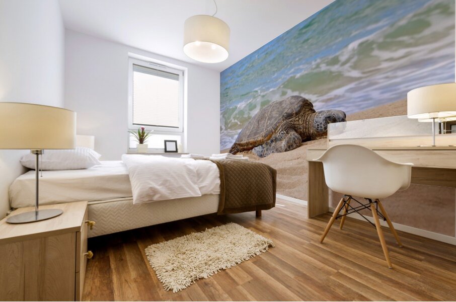 Maui Sea Turtle 1 Mural print