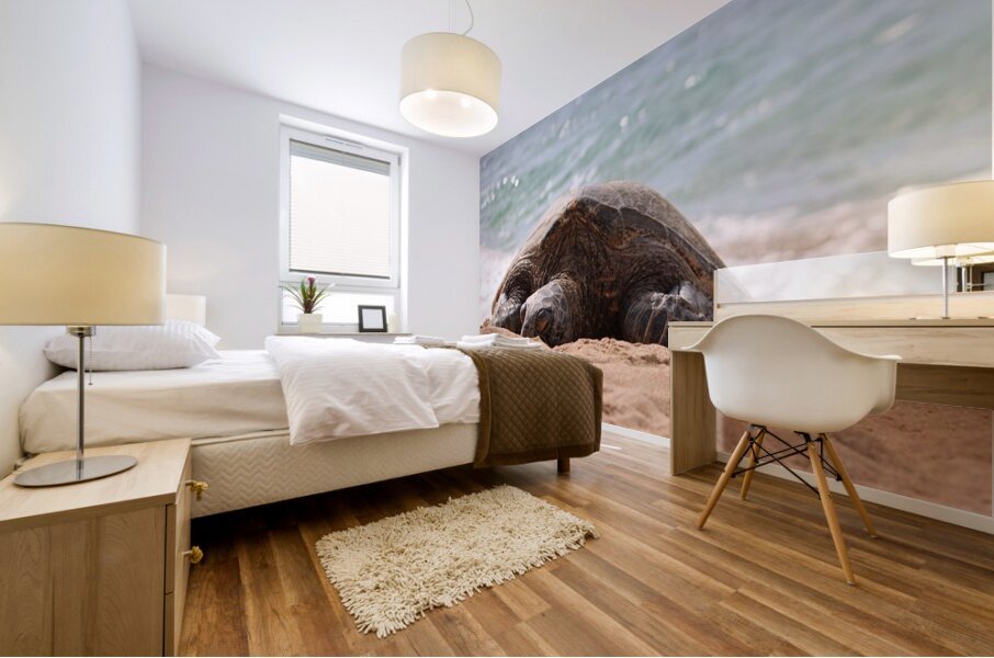 Maui Sea Turtle 2 Mural print