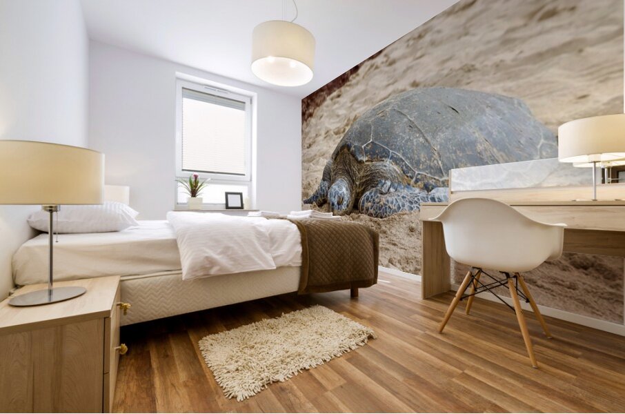 Maui Sea Turtle 3 Mural print