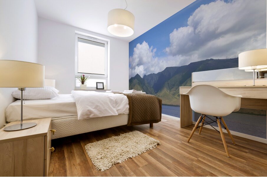 Maui Coast Mural print