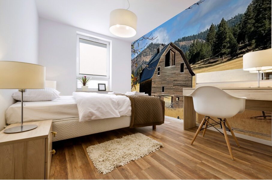 Dunford Barn 1 Mural print