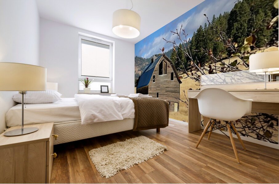 Dunford Barn 2 Mural print