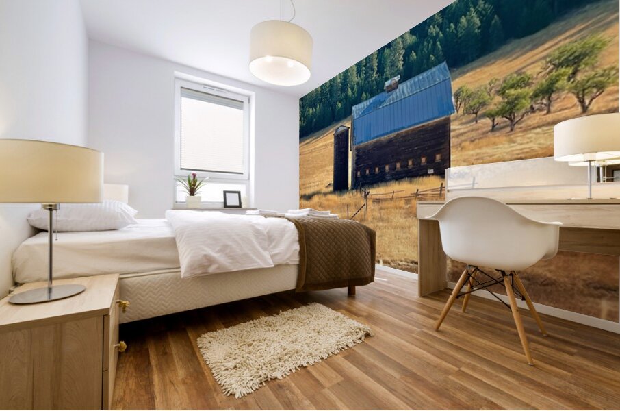 Dunford Barn 4 Mural print