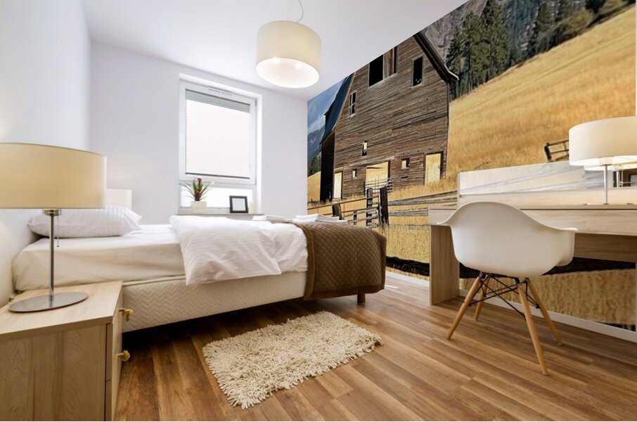 Dunford Barn 3 Mural print