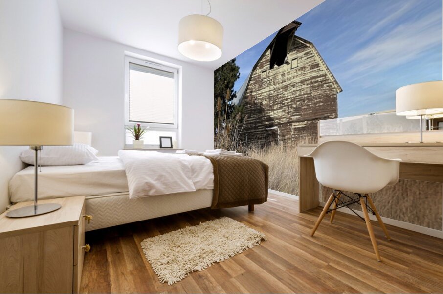 Colfax Barn 2 Mural print