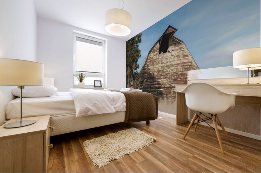 Colfax Barn 3 Mural print