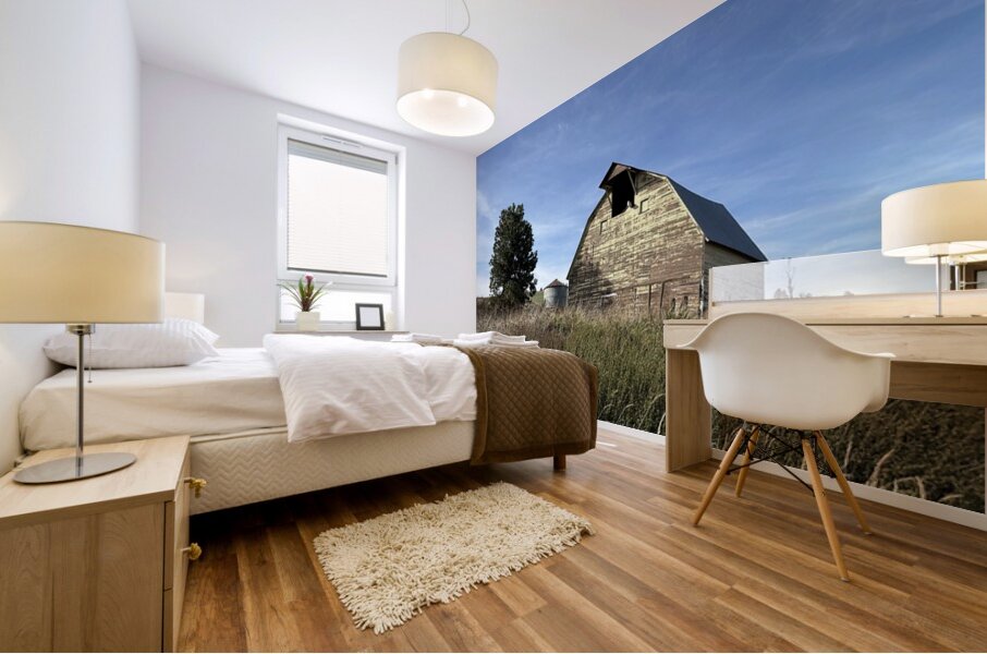 Colfax Barn 4 Mural print