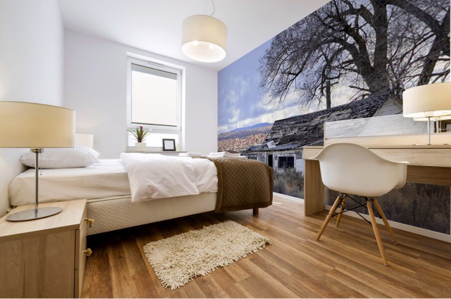 Farmhouse Decay - horizontal Mural print