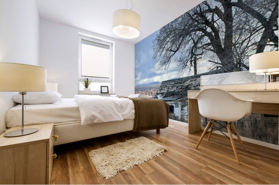 Farmhouse Decay - vertical Mural print