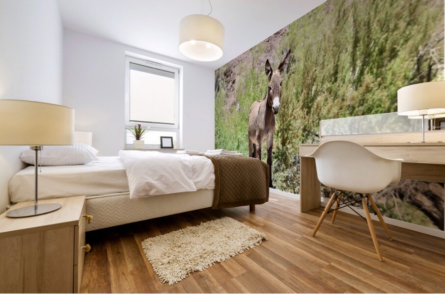 Wild Donkey Parker Arizona Mural print