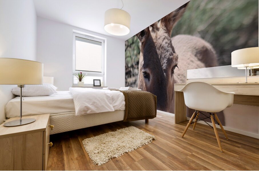 Split ear donkey Mural print