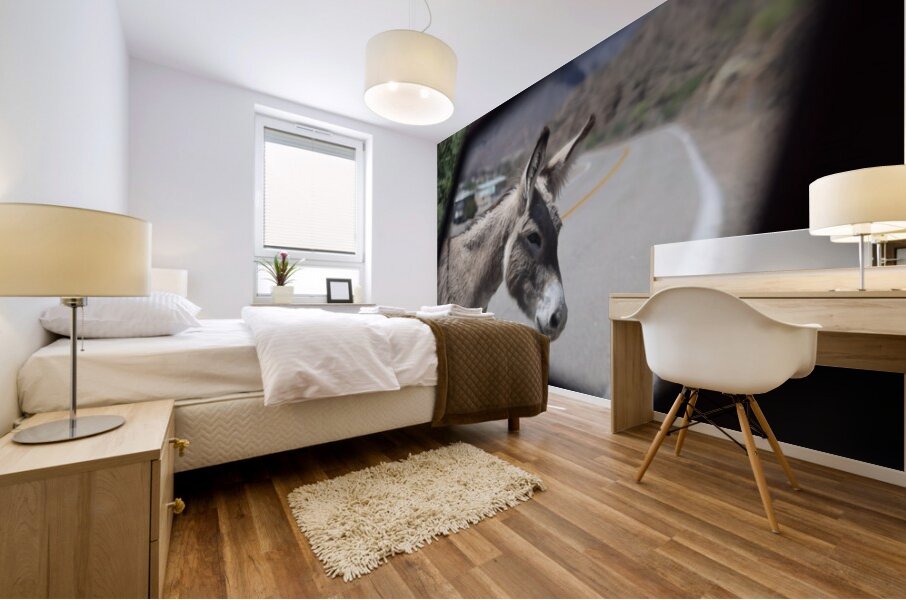 Donkeys in your mirror are closer than they appear Mural print