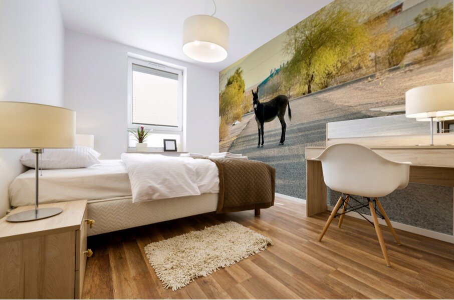 Topock Donkey Mural print