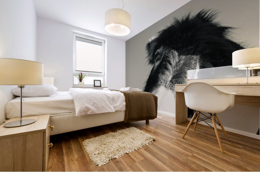 A burro named Stormy Mural print