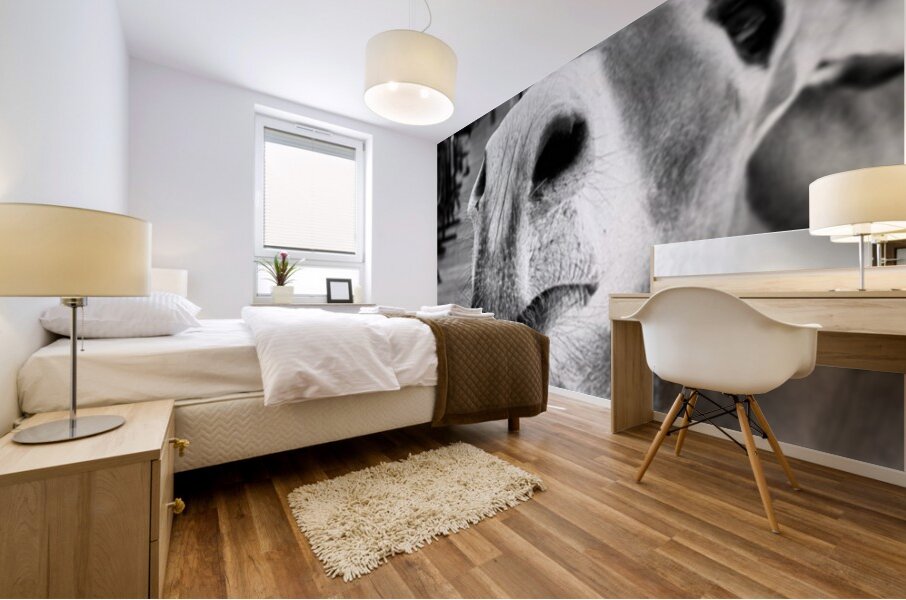 Give us a Kiss - black & white Mural print