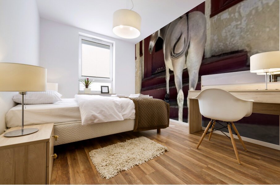 My eyes are up here  Mural print