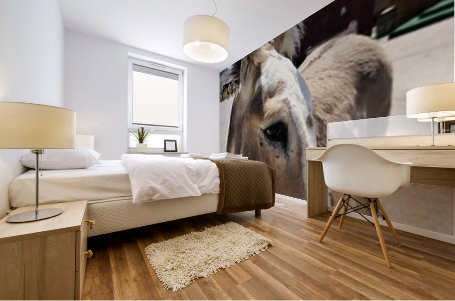 Oliver the Sheriff of Oatman -1 Mural print