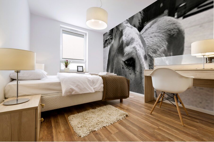 Oliver the Sheriff of Oatman - 2 Mural print