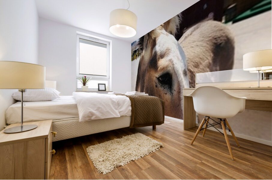 Oliver the Sheriff of Oatman -3 Mural print