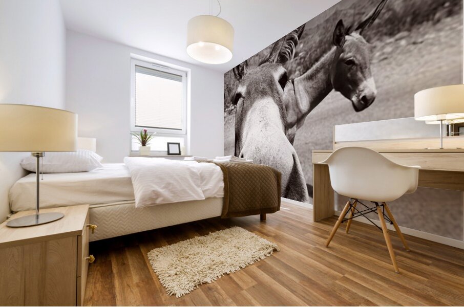 Welcome to Oatman Mural print