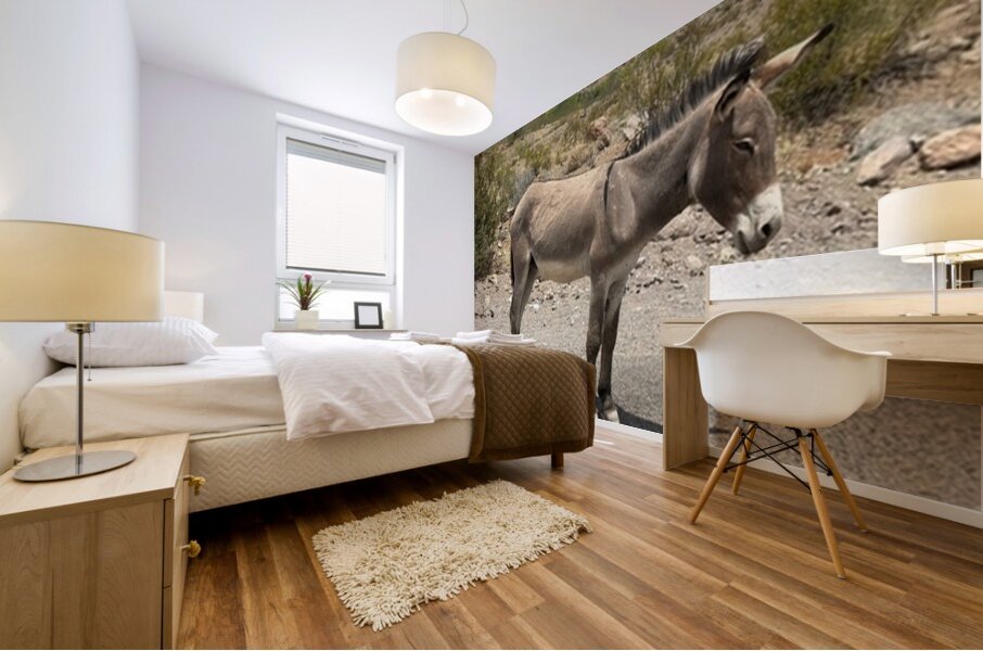 Heading to Oatman Mural print