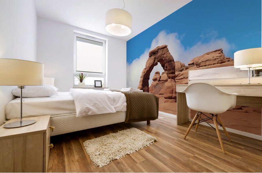 Delicate Arch Mural print
