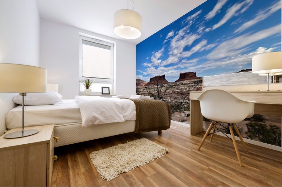 Monitor & Merrimack Rock - 2 Mural print