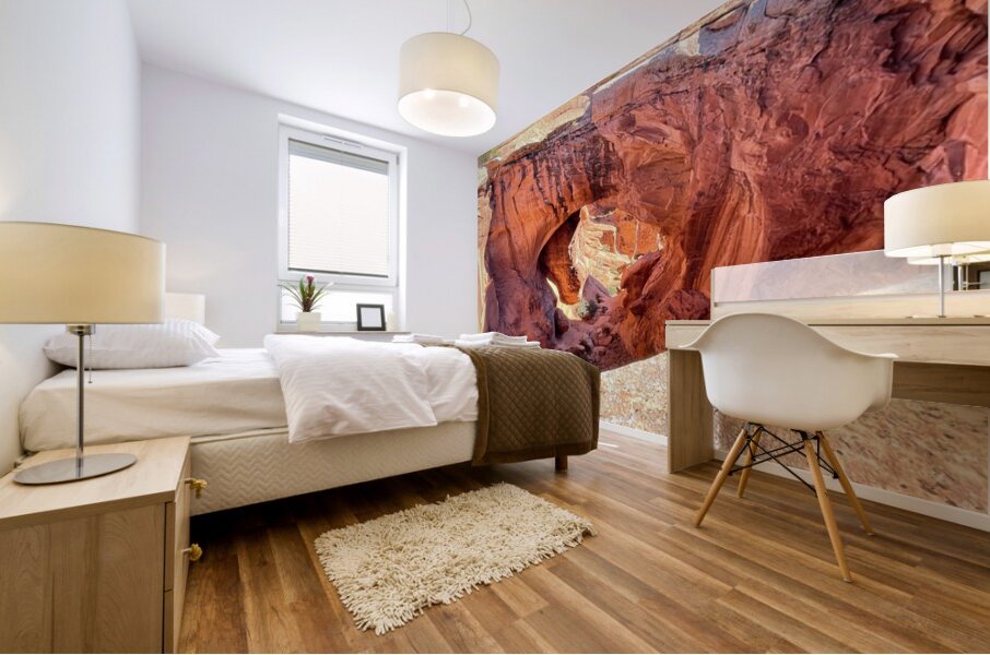 Natural Bridges - 1 Mural print