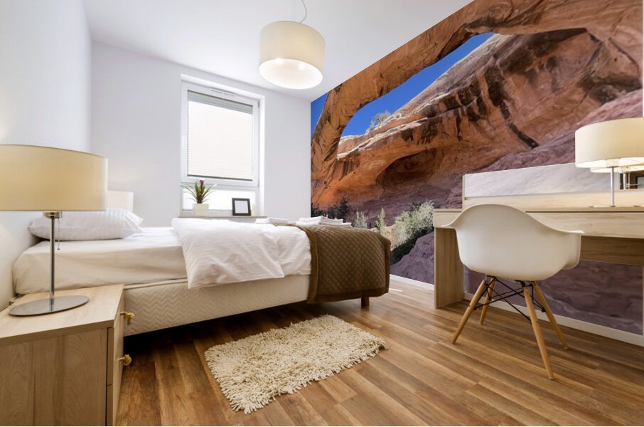 Gemini Twins Mural print