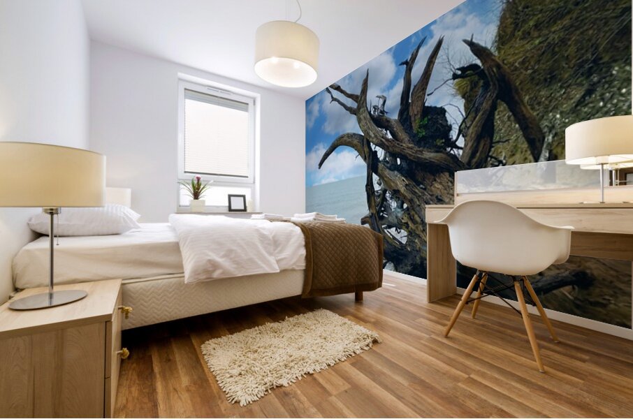 IMG 1646 Mural print