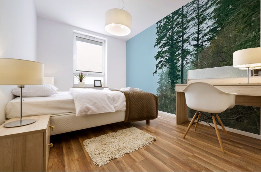 IMG 1639 Mural print