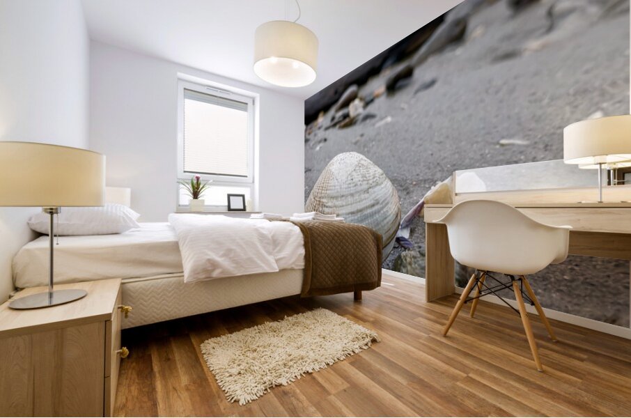 Keep Clam Mural print