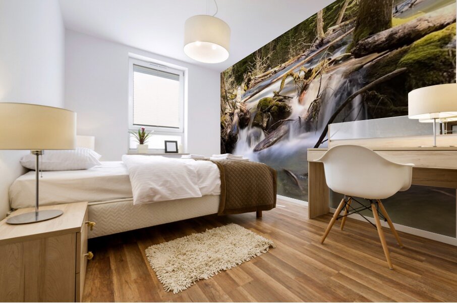 IMG 2445 Mural print