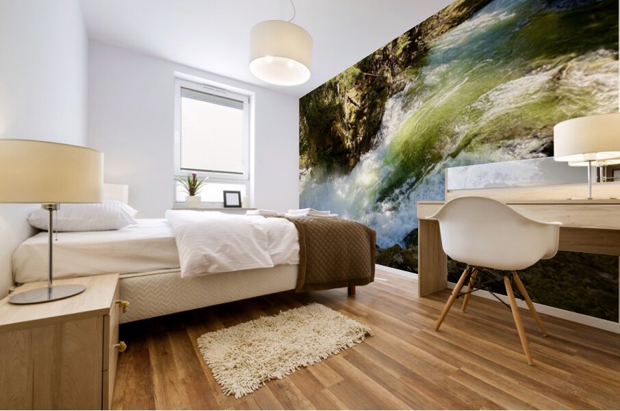 IMG 2460 Mural print