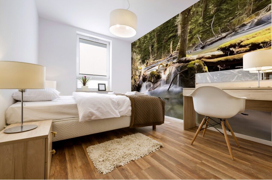 IMG 2442 Mural print