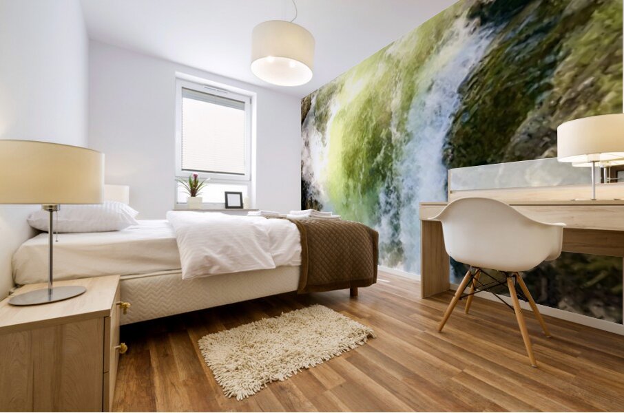 Deception Falls -1 Mural print