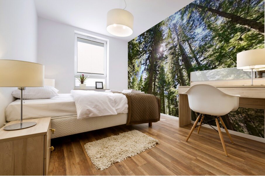 Tall Tall Trees Mural print
